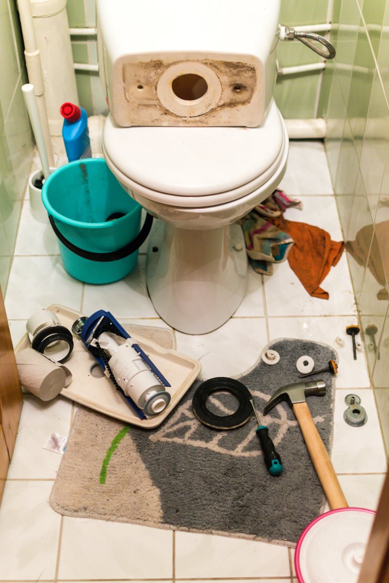 New toilet being installed in a Paddington bathroom