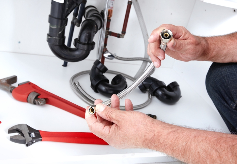 Toilet repair being carried out in Paddington